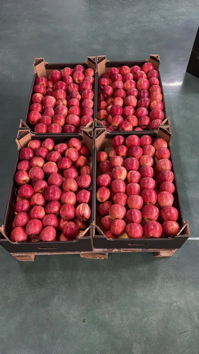 13 kg Carton